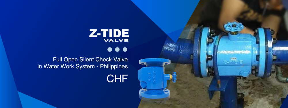 Full open silent check valve for water work system in Philippines Z-Tide Full open silent check valve for water work system in Philippines