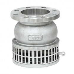 Foot Valve with Lever